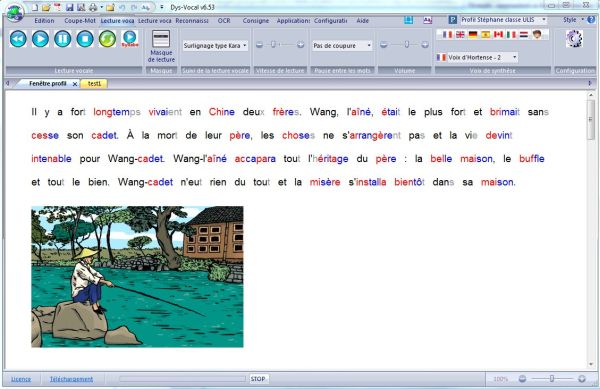 Mise en forme dans Dys-Vocal